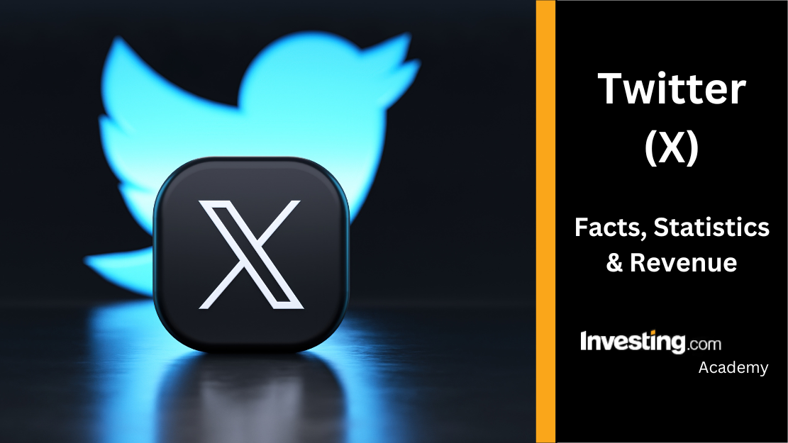 Multiple Twitter Accounts: Expanding Your Social Experience